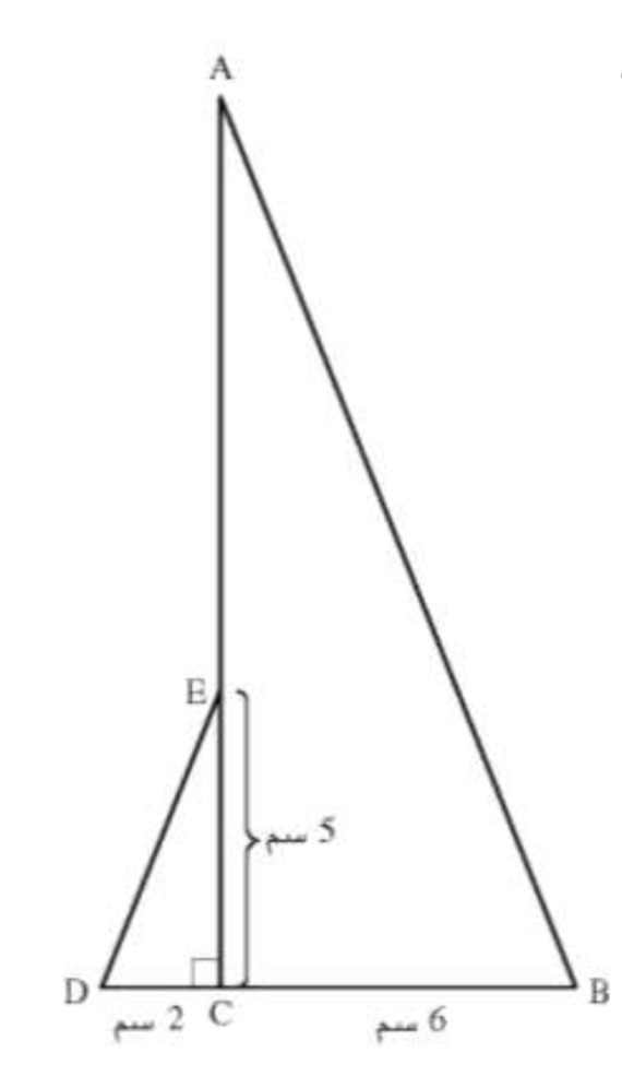 مراجعات